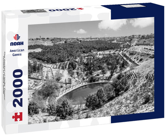 Noah Jigsaw Puzzle The basket of Nefta Tozeur, Tunisia in black white 2000 pieces