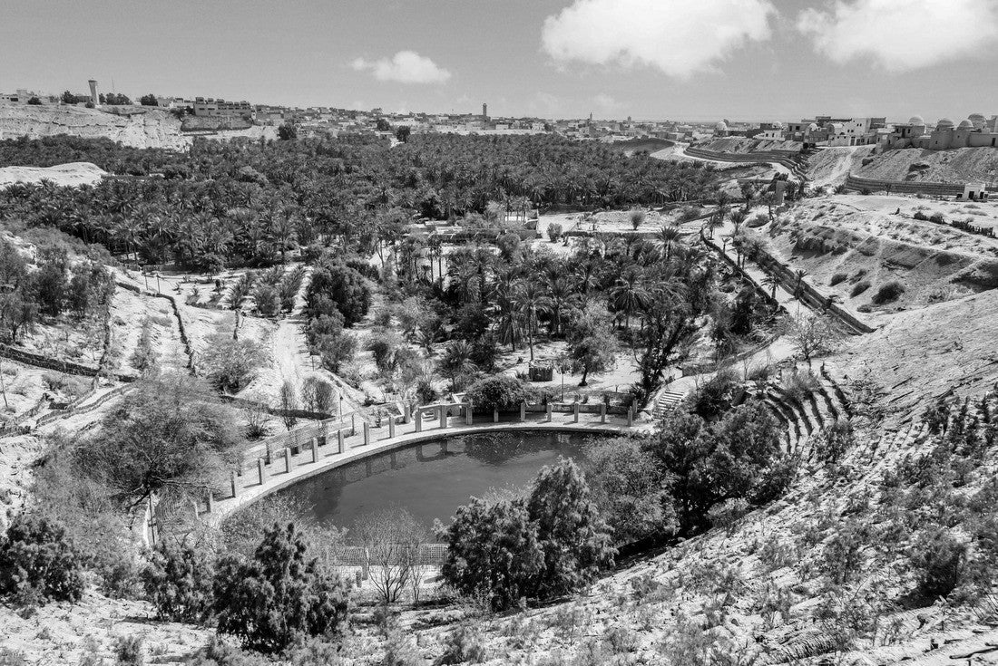 Noah Jigsaw Puzzle The basket of Nefta Tozeur, Tunisia in black white 2000 pieces
