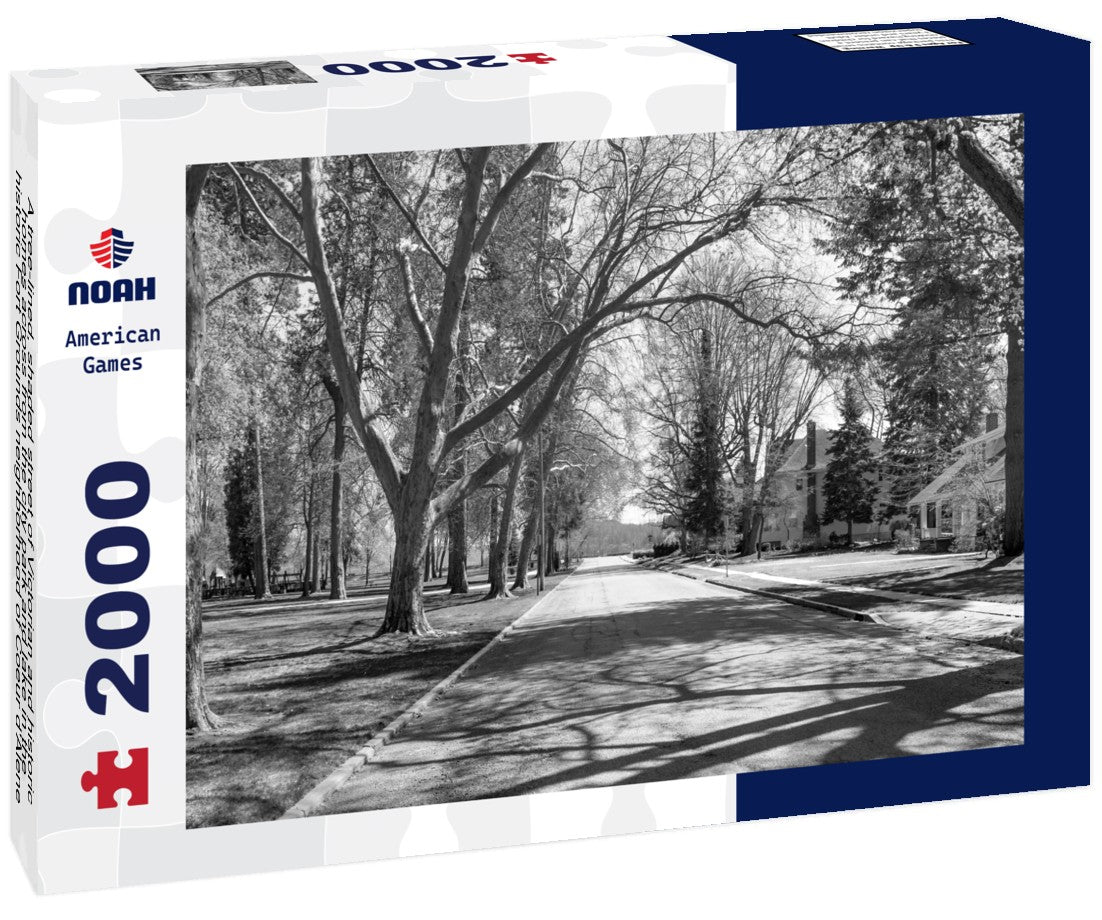 A tree-lined, shaded street of Victorian and historic homes across from the city park and lake in the historic Fort Grounds neighborhood of Coeur d'Alene, Idaho, USA 2000pc PuzzleBlack and White