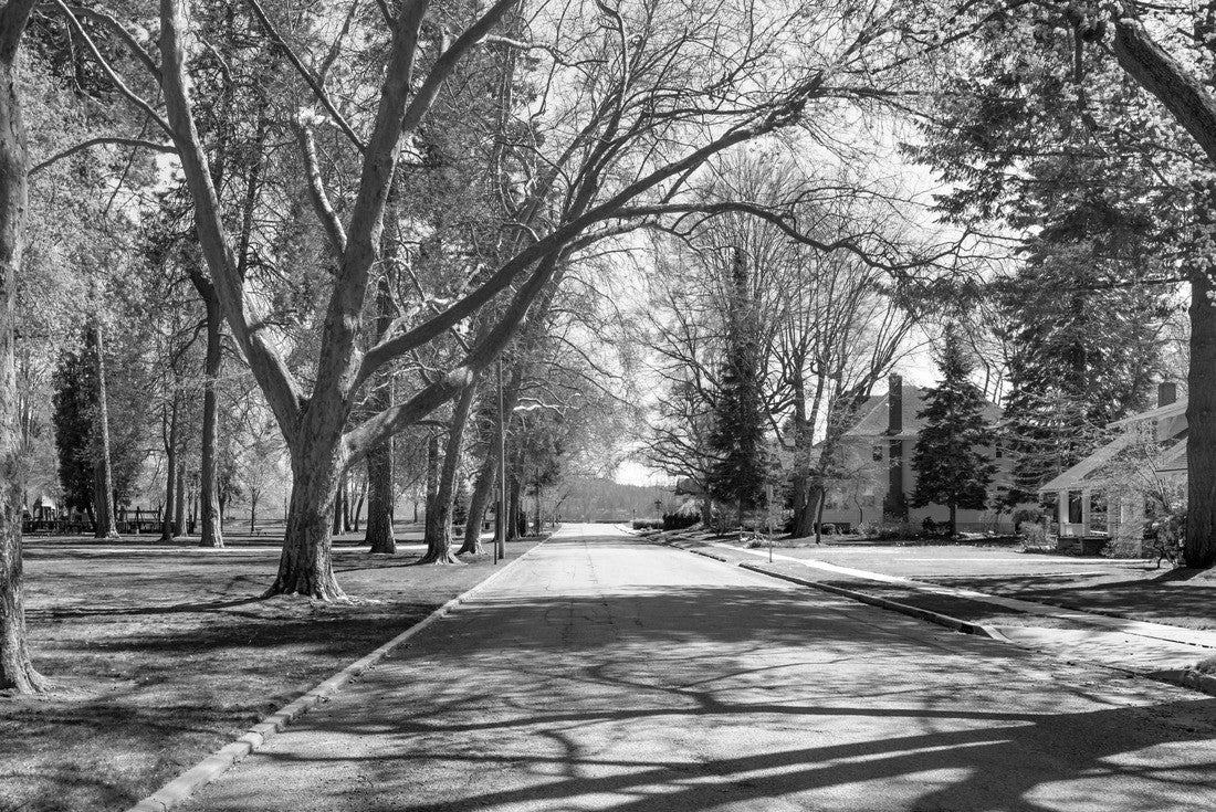 A tree-lined, shaded street of Victorian and historic homes across from the city park and lake in the historic Fort Grounds neighborhood of Coeur d'Alene, Idaho, USA 2000pc PuzzleBlack and White