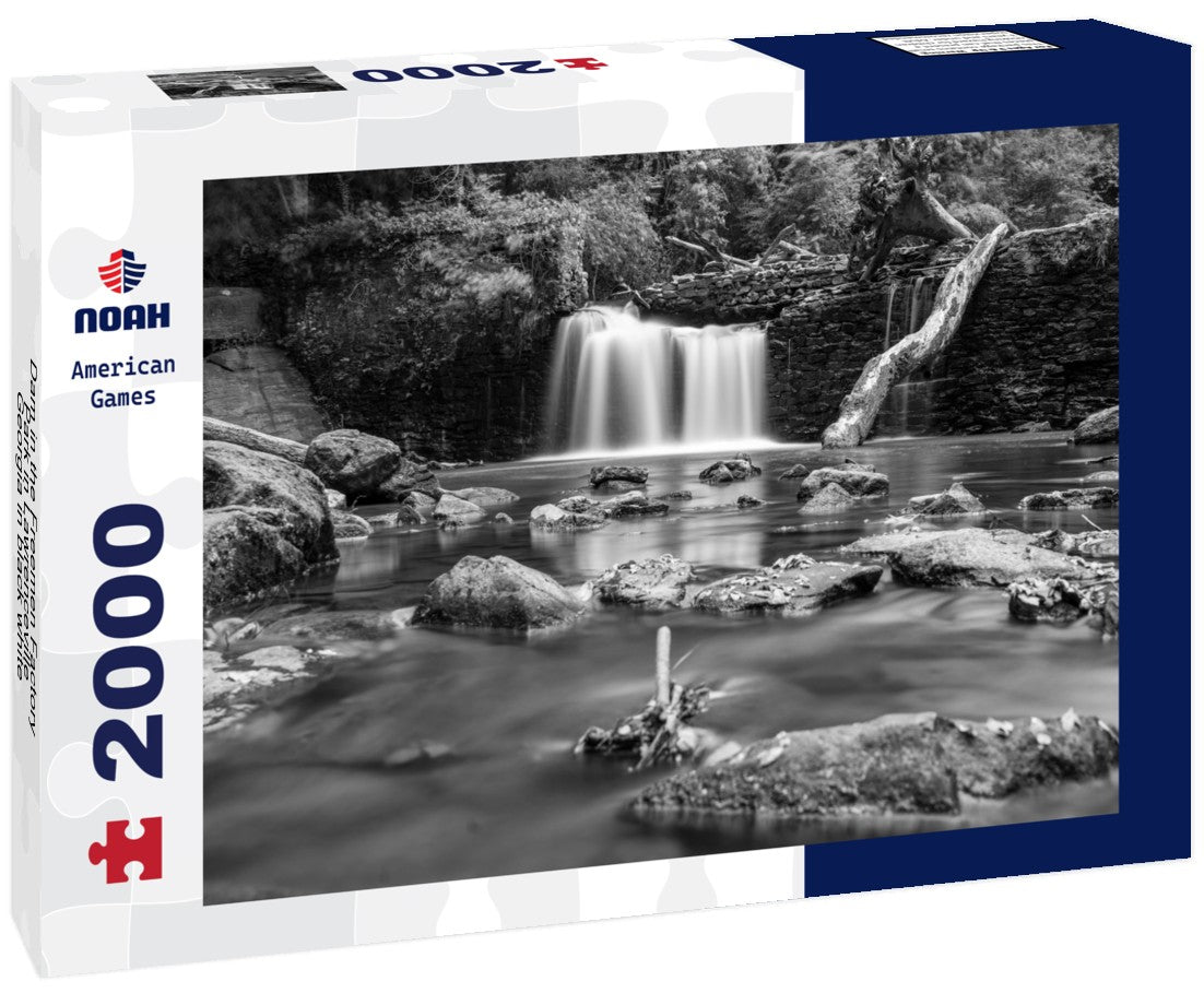 Dam in the Freemen Factory Park in Lawrenceville, Georgia 2000pc PuzzleBlack and White