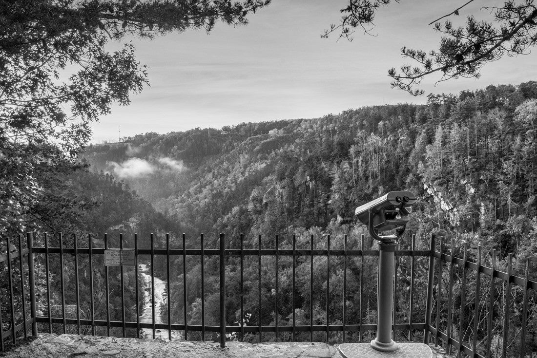 Tallulah Falls, Georgia, USA overlooking the Tallulah Gorge in the fall season 2000pc PuzzleBlack and White