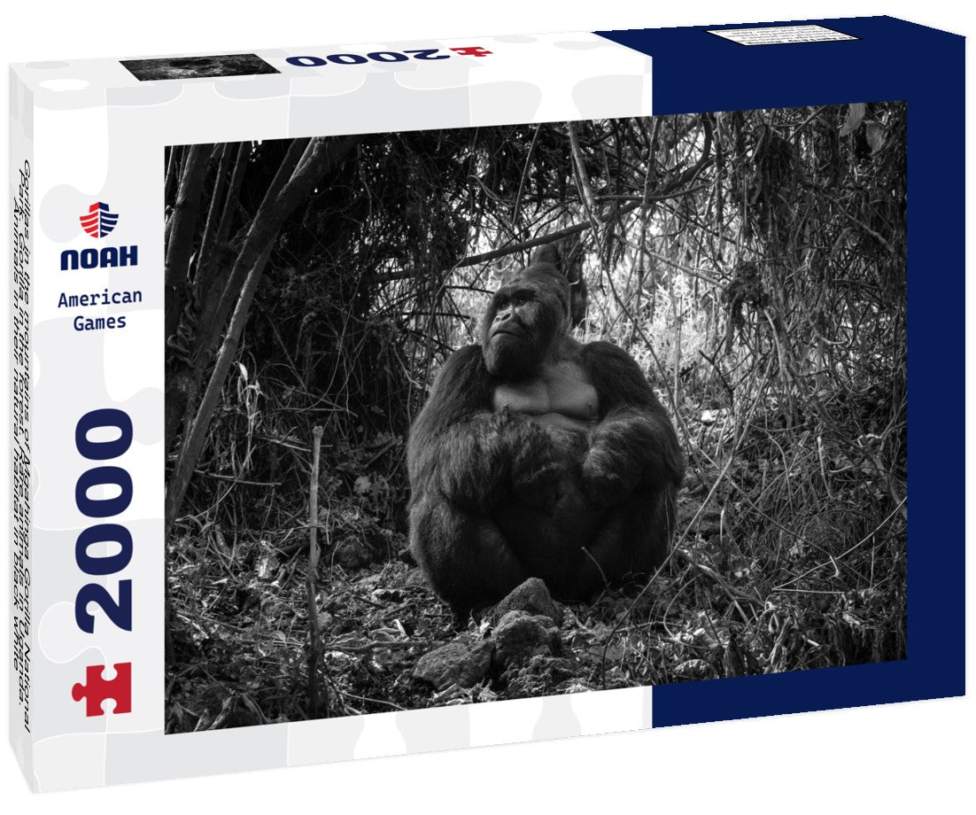 Noah Jigsaw Puzzle Gorillas in the mountains of Mgahinga Gorilla National Park. Gorilla in the forest. Rare animals in Uganda. Animals in their natural habitat in black white 2000 pieces