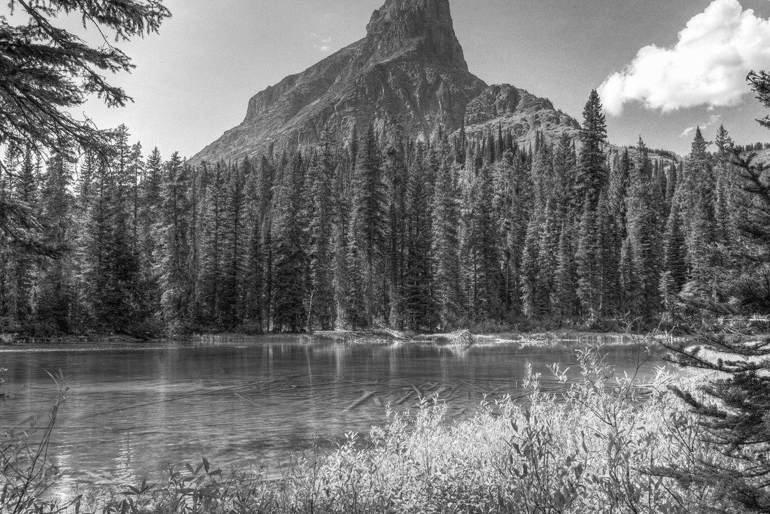 Glacier National Park. American national park located in the state of Montana 2000pc PuzzleBlack and White