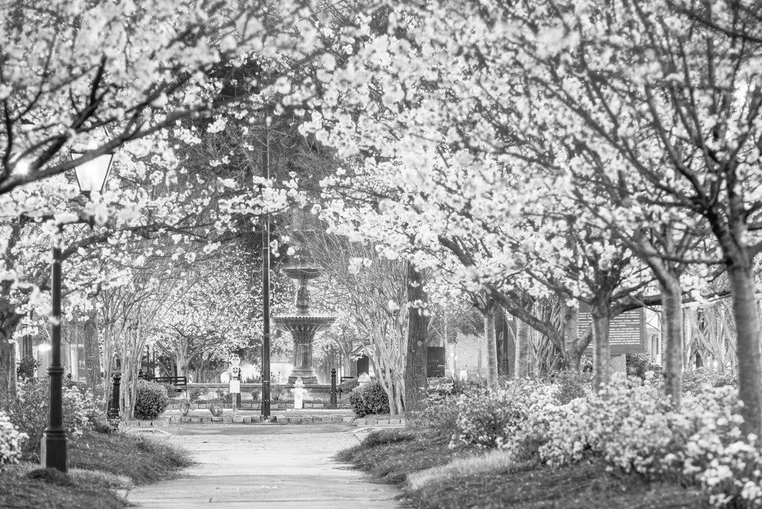 Macon, Georgia, USA downtown spring square 2000pc PuzzleBlack and White