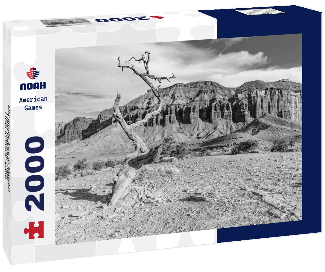 Noah Jigsaw Puzzle Old single tree in Capitol Reef National Park, Utah in black white 2000 pieces