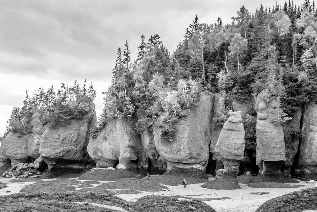 The Hopewell Rocks in the Bay of Fundy in New Brunswick, Canada 2000pc PuzzleBlack and White