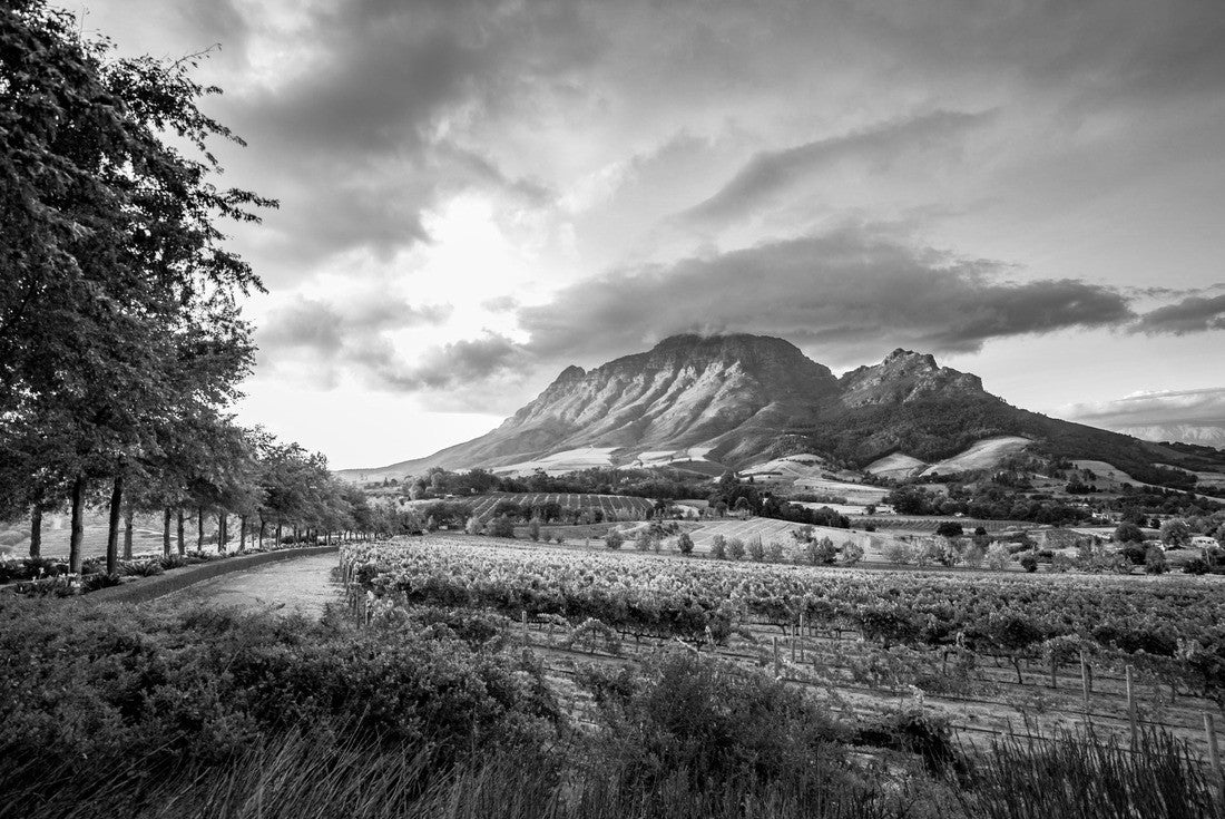 Wine region near Stellenbosch with view of Simonsberg in South Africa 2000pc PuzzleBlack and White