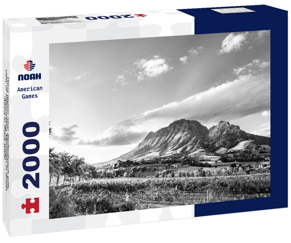 Noah Jigsaw Puzzle Wine region near Stellenbosch with view of Simonsberg Mountain in South Africa in black white 2000 pieces