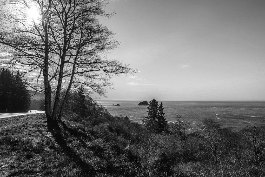 The Coast, Redwoods National & State Parks, California 2000pc PuzzleBlack and White