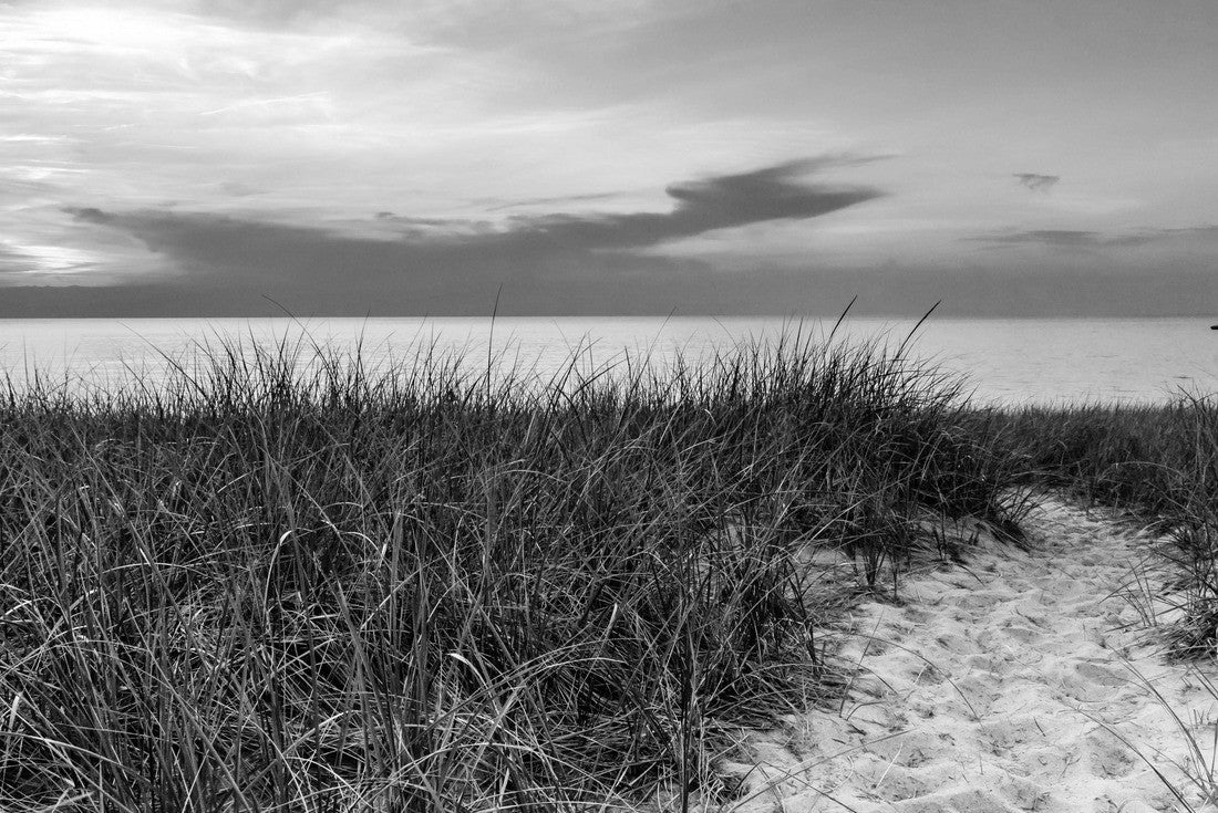 Noah Jigsaw Puzzle Lake Michigan Sunset in black white 2000 pieces