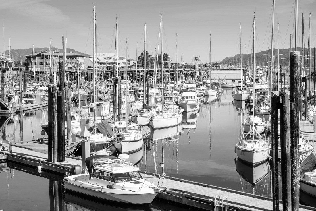 Noah Jigsaw Puzzle Campbell River Harbour on a Clear Summer Morning. Vancouver Island, BC, Canada in black white 2000 pieces
