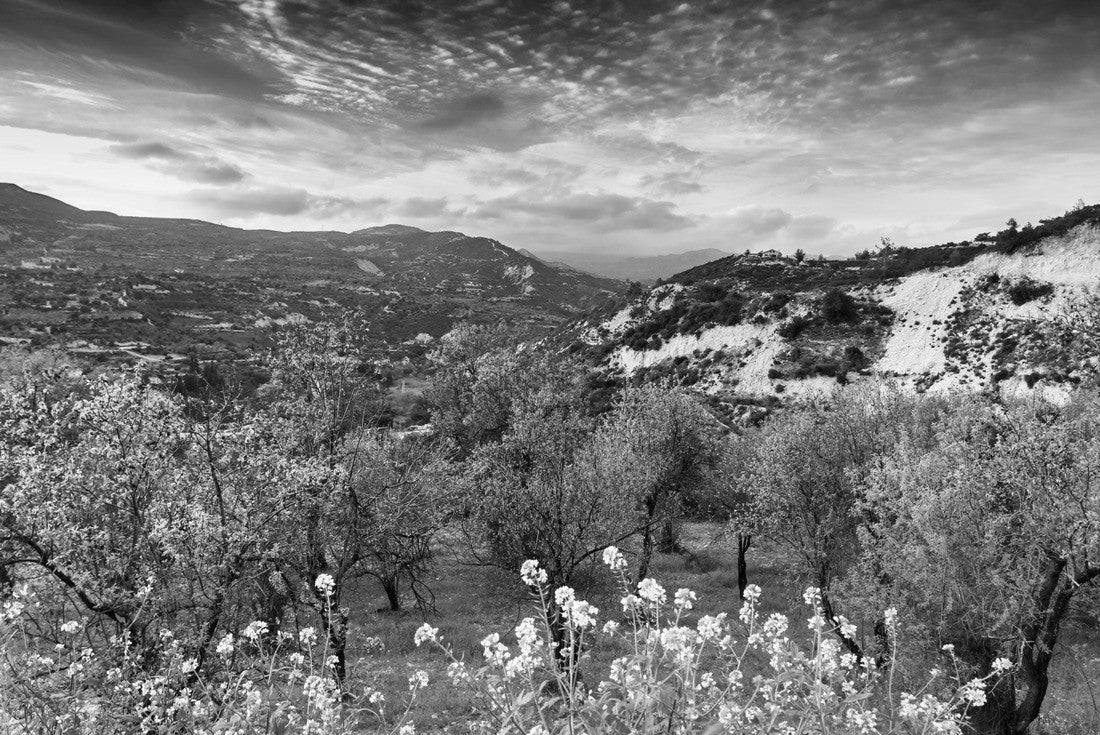 Beautiful scenery, a bright sunset in the mountains on the island of Cyprus, Troodos 2000pc PuzzleBlack and White