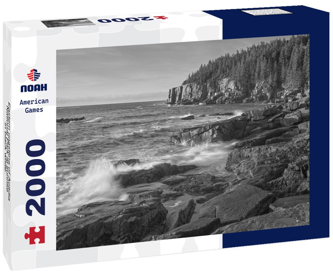 Noah Jigsaw Puzzle Eastern coastline of Acadia National Park at sunrise in black white 2000 pieces