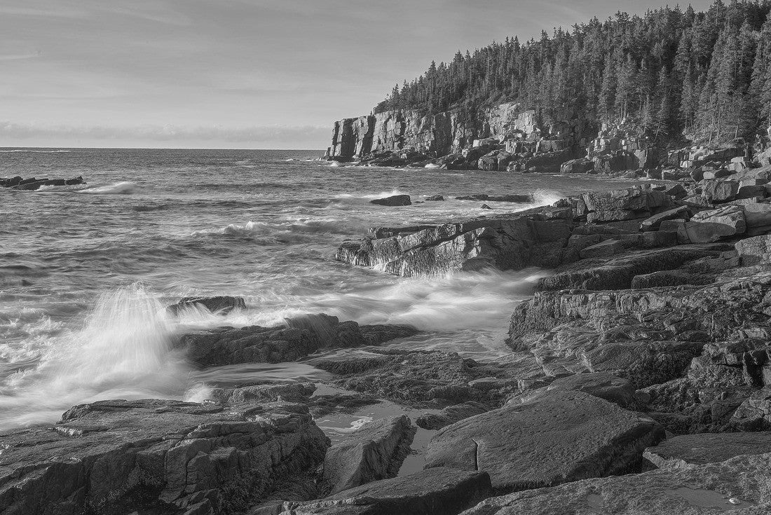 Eastern coastline of Acadia National Park at sunrise 2000pc PuzzleBlack and White