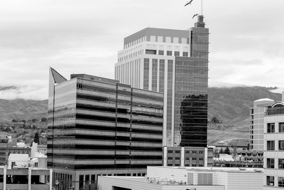 Downtown Boise Idaho skyline with two geese flying by 2000pc PuzzleBlack and White