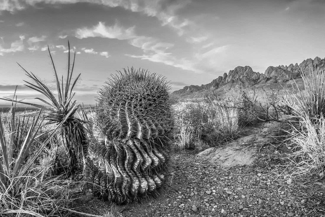 Las Cruces New Mexico 2000pc PuzzleBlack and White