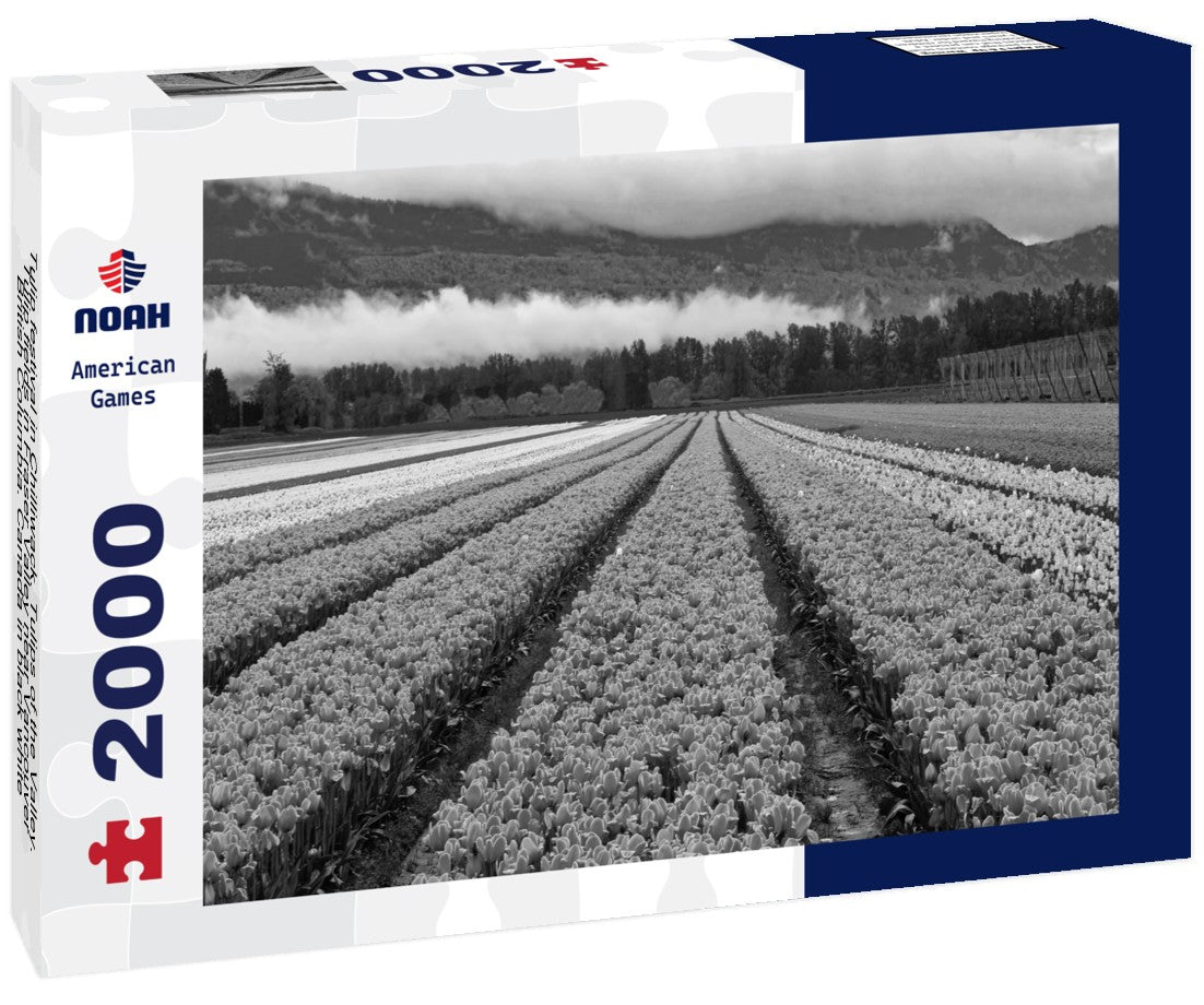 Tulip festival in Chilliwack. Tulips of the Valley. Tulip fields in Fraser Valley near Vancouver, British Columbia. Canada 2000pc PuzzleBlack and White