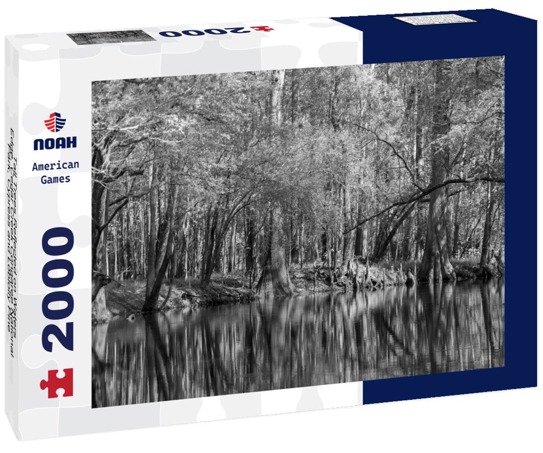 Noah Jigsaw Puzzle Tall Trees Reflected on Waters Edge, Cedar Creek Congaree National Park, Cypress and Loblolly Pine in black white 2000 pieces