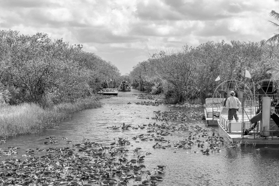 Noah Jigsaw Puzzle Airboats tours in Everglades National Park, Florida in black white 2000 pieces