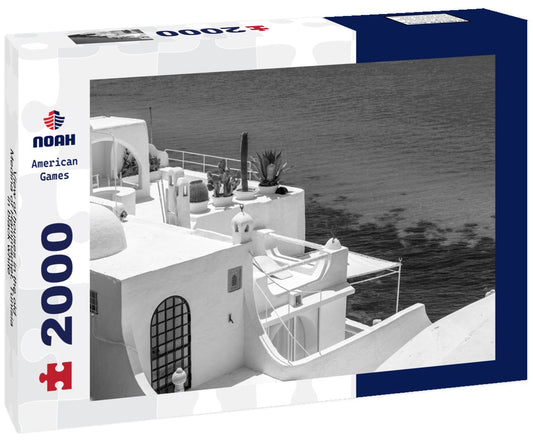 Noah Jigsaw Puzzle View of houses in the old Medina of Hammamet, Tunisia in black white 2000 pieces