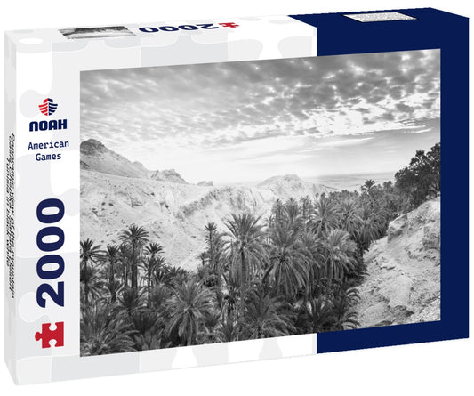 Noah Jigsaw Puzzle Panoramic view of the mountain oasis Chebika. Sahara Desert, Tunisia in black white 2000 pieces