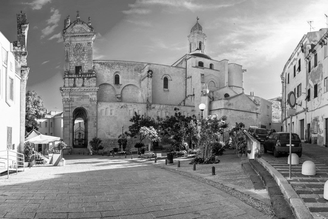 multi-colored flower garden in the city of Sassari - Sardinia on a sunny spring day 2000pc PuzzleBlack and White