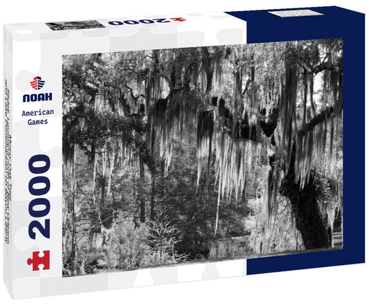 Noah Jigsaw Puzzle Mossy Oak Tree - Slidell, Louisiana north of New Orleans and Lake Pontchartrain on Bayou Liberty - swamp landscape scene in black white 2000 pieces
