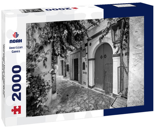 Noah Jigsaw Puzzle Hammamet Medina streets with blue walls. Tunis, north Africa in black white 2000 pieces