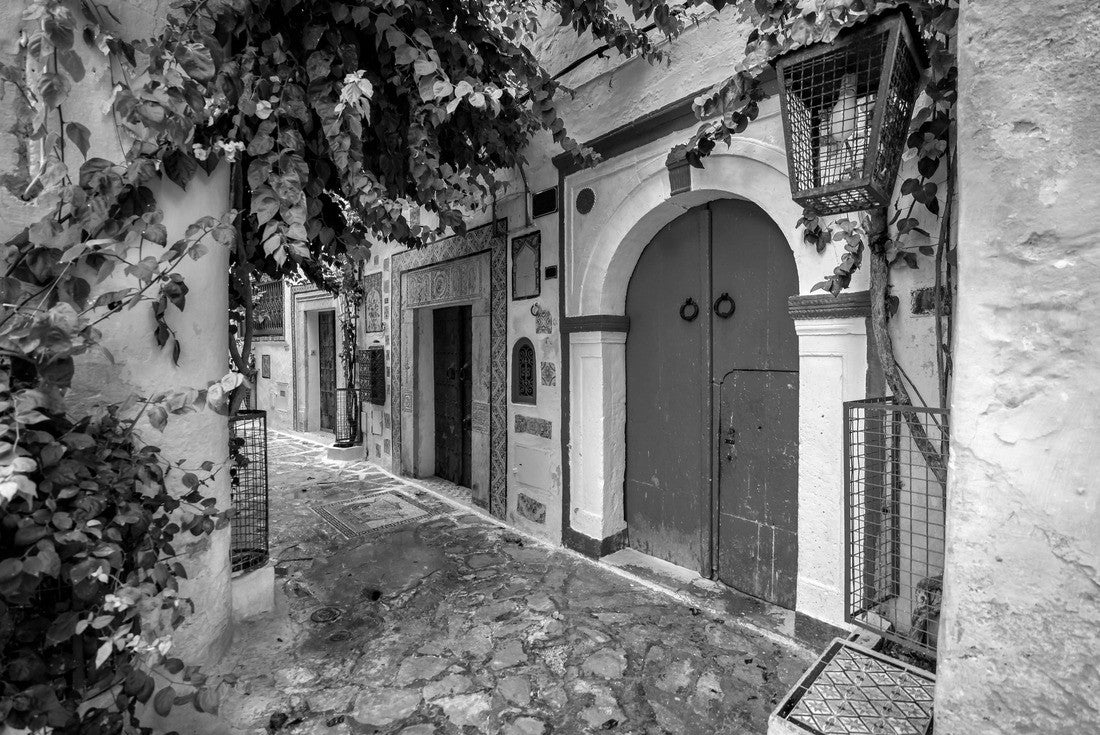 Noah Jigsaw Puzzle Hammamet Medina streets with blue walls. Tunis, north Africa in black white 2000 pieces