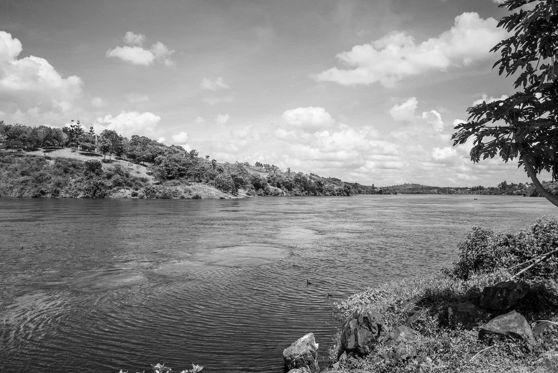 River Nile leaving Lake Victoria at Jinja, Uganda. It is considered to be the main source of the White Nile 2000pc PuzzleBlack and White