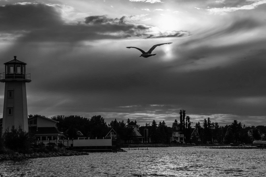 Noah Jigsaw Puzzle Sunset View at Sylvan Lake, Alberta, Canada in black white 2000 pieces