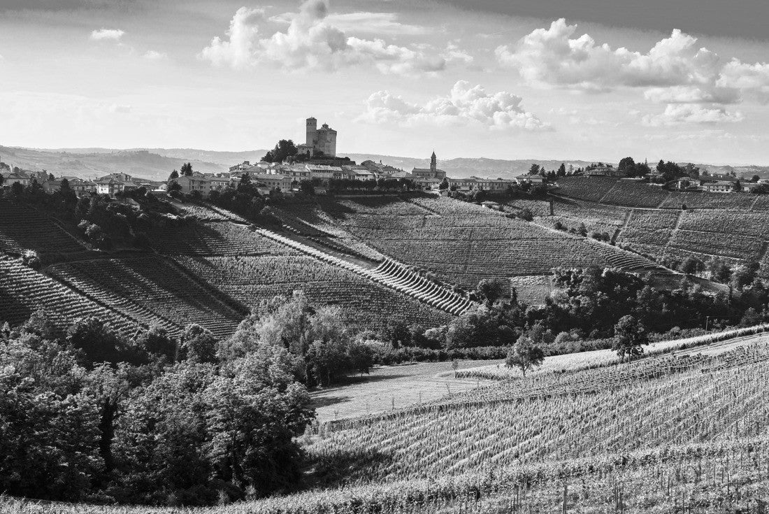 Noah Jigsaw Puzzle Langhe vineyards sunset panorama, Serralunga d'Alba, Unesco Site, Piedmont, Northern Italy in black white 2000 pieces