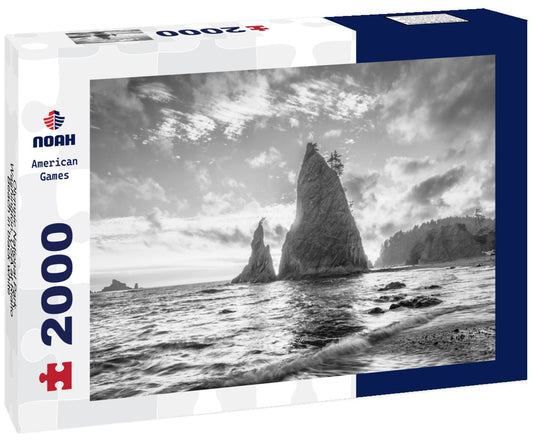 Noah Jigsaw Puzzle Olympic National Park, Washington, USA at Rialto Beach in black white 2000 pieces