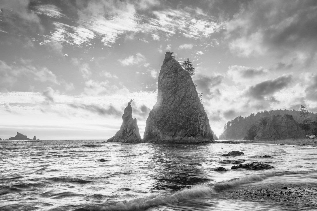Noah Jigsaw Puzzle Olympic National Park, Washington, USA at Rialto Beach in black white 2000 pieces