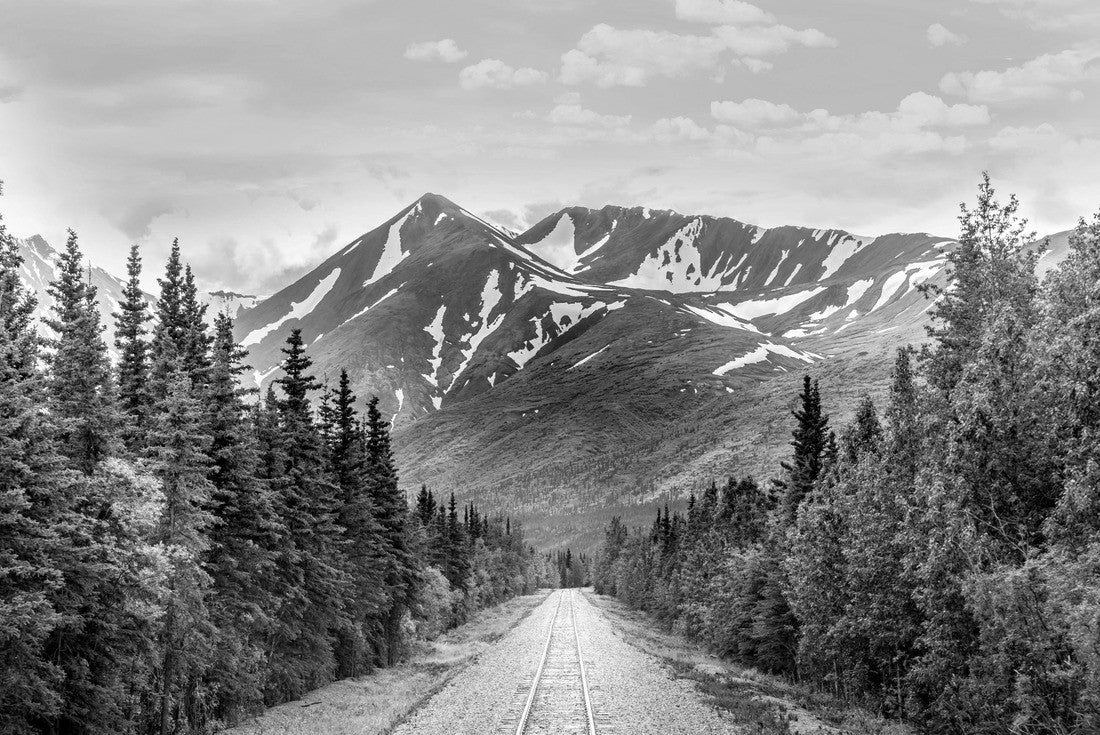 Mountain bike and train trail in Denali National Park, Alaska 2000pc PuzzleBlack and White