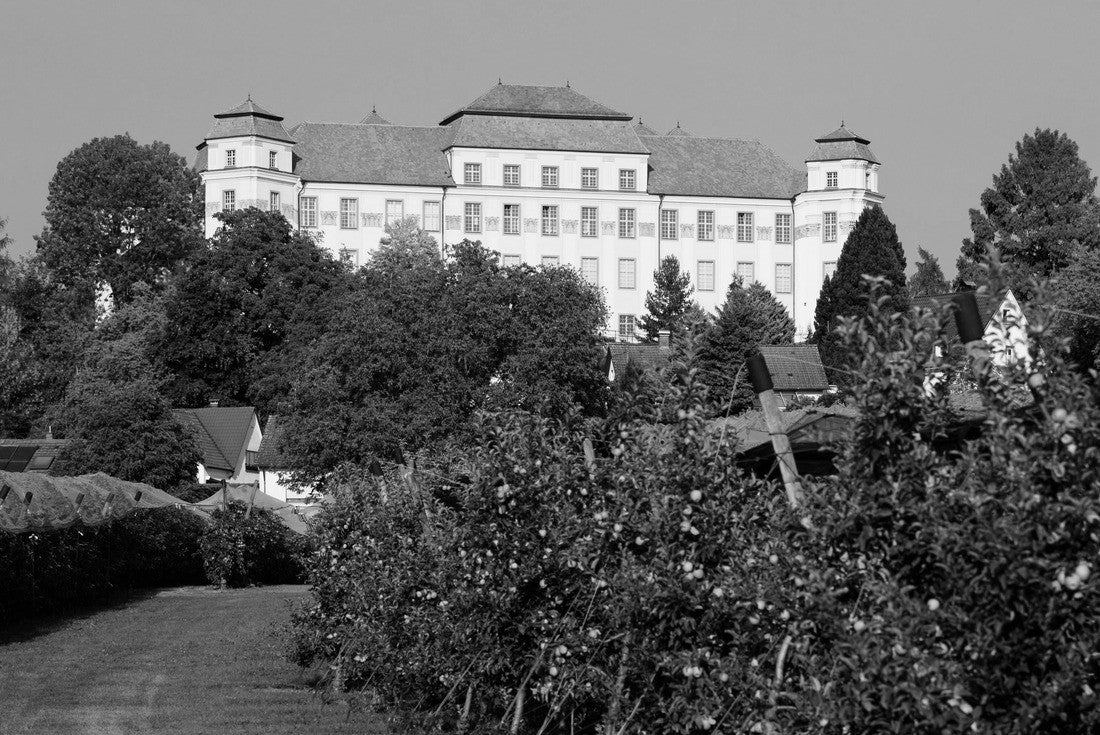 The new Castle in Tettnang in Germany 2000pc PuzzleBlack and White