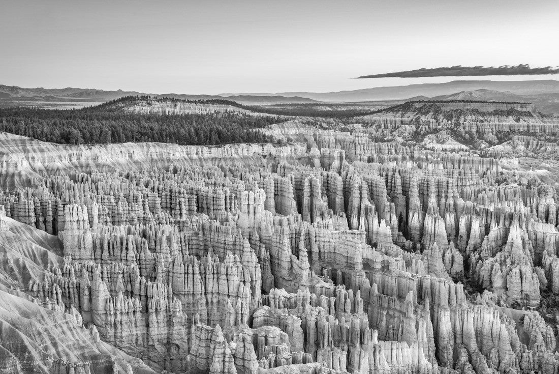 Noah Jigsaw Puzzle Bryce Canyon National Park, Utah, USA at dawn in black white 2000 pieces