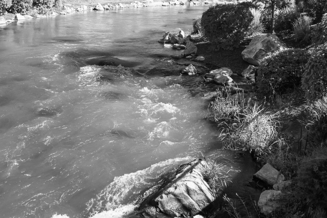The banks of a river in Caldwell, Idaho, with plants alongside 2000pc PuzzleBlack and White