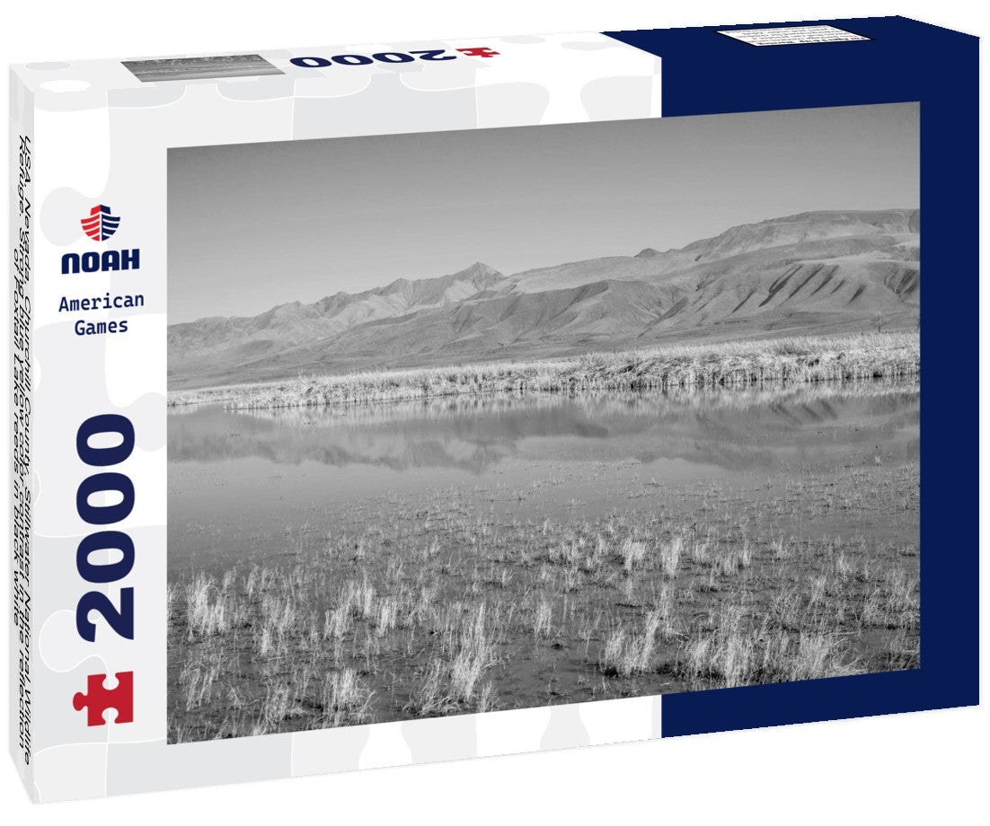 USA, Nevada, Churchill County, Stillwater National Wildlife Refuge. Strong blue yellow color contrast in the reflection of Foxtail Lake reeds 2000pc PuzzleBlack and White