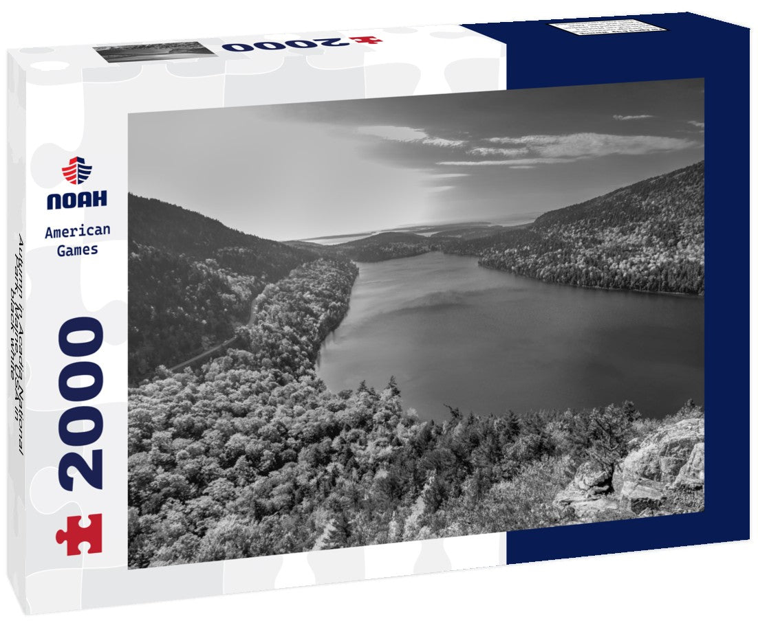 Autumn in Acadia National Park, Maine, USA 2000pc PuzzleBlack and White
