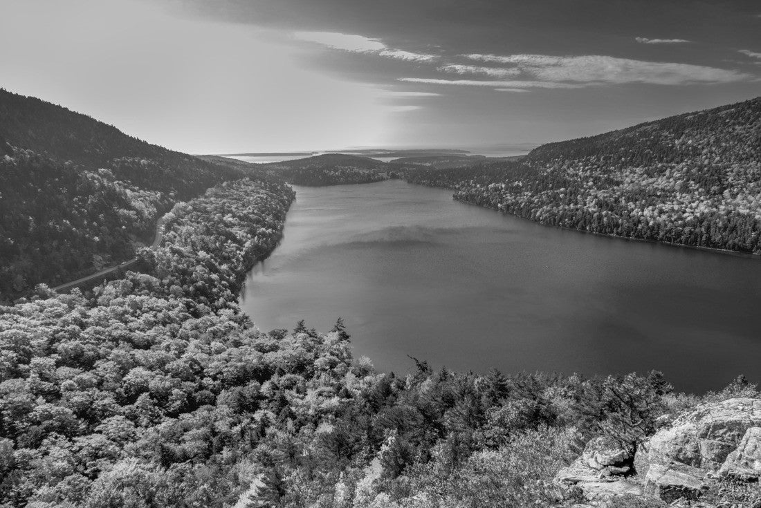 Noah Jigsaw Puzzle Autumn in Acadia National Park, Maine, USA in black white 2000 pieces