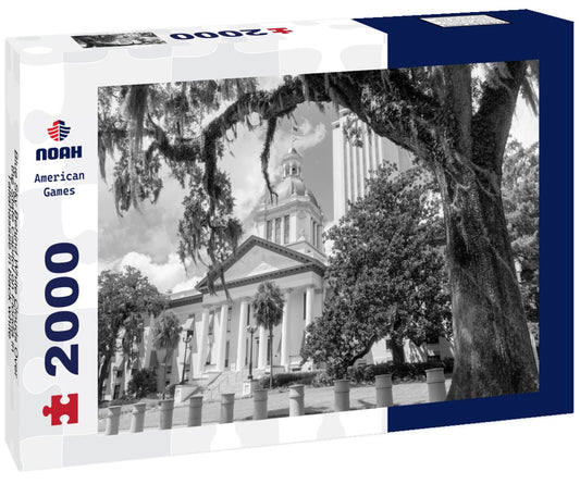 Noah Jigsaw Puzzle Blue Sky Behind White Clouds Over the State Capitol on Florida in Tallahassee in black white 2000 pieces