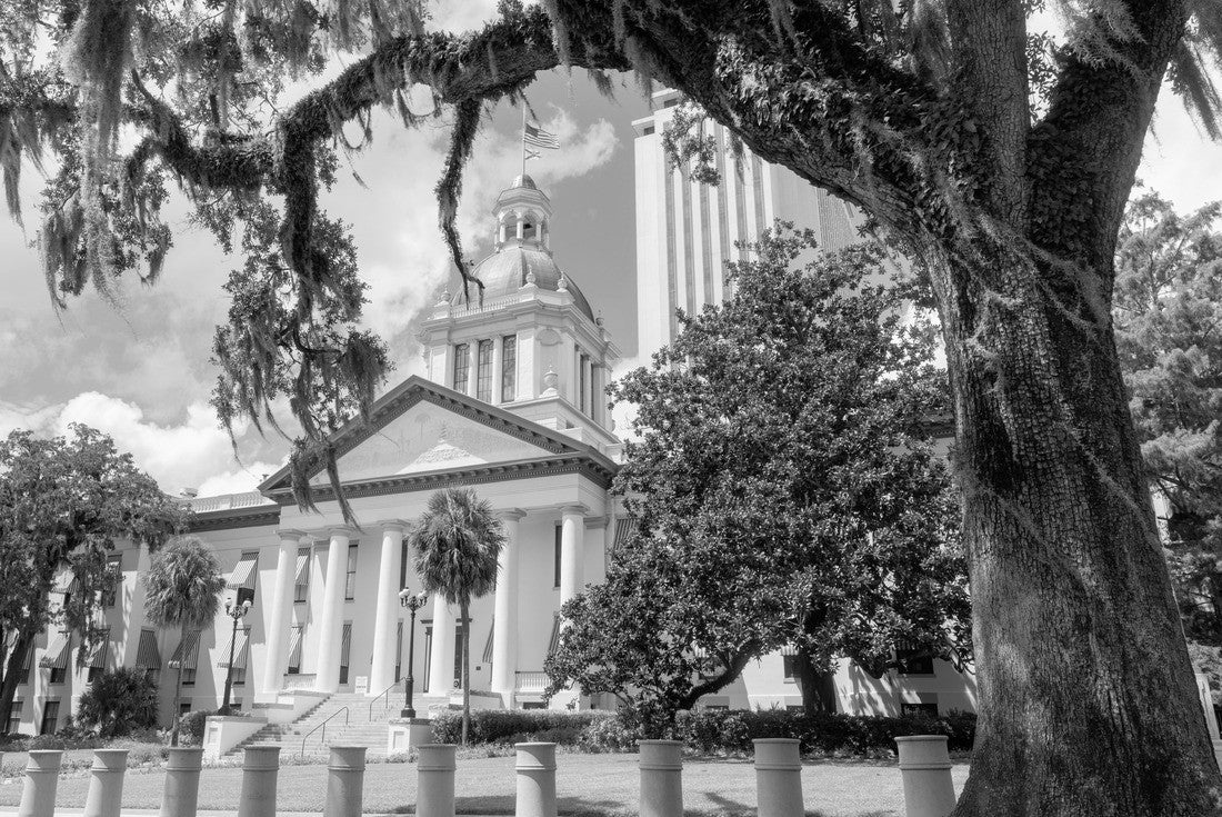 Noah Jigsaw Puzzle Blue Sky Behind White Clouds Over the State Capitol on Florida in Tallahassee in black white 2000 pieces