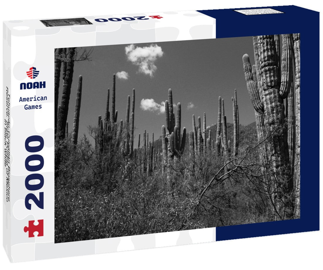 Tehuacán-Cuicatlán Biosphere Reserve. State Puebla of Mexico 2000pc PuzzleBlack and White