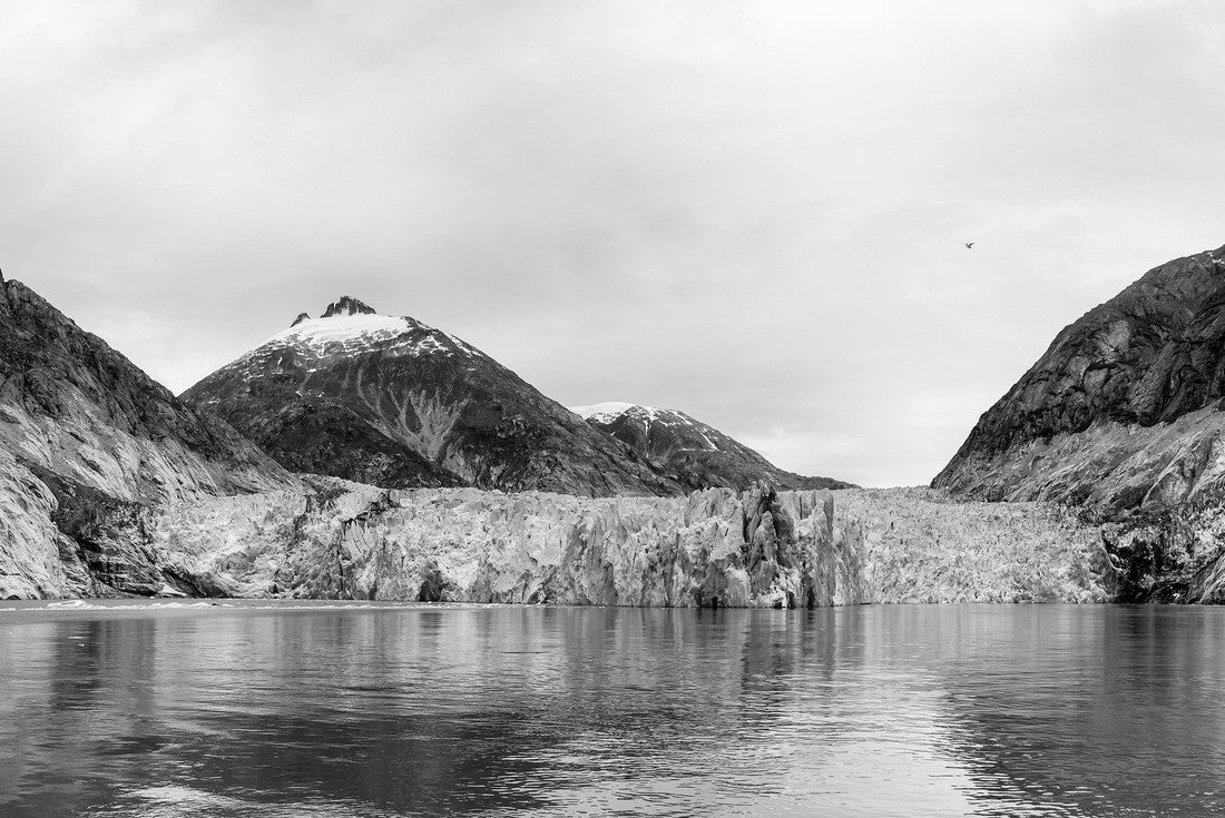 Endicott Arm Glacier in Tracy Arm-Fjords Terror Wilderness, Alaska 2000pc PuzzleBlack and White