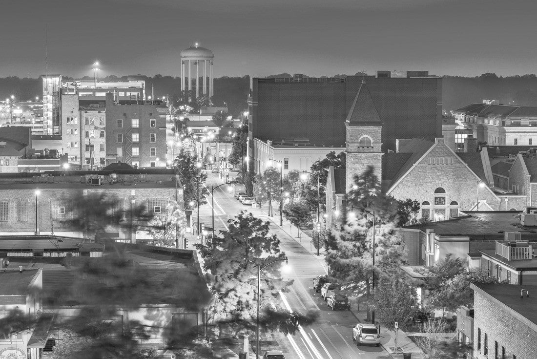 Noah Jigsaw Puzzle Columbia, Missouri, USA City Skyline downtown at dusk in black white 2000 pieces