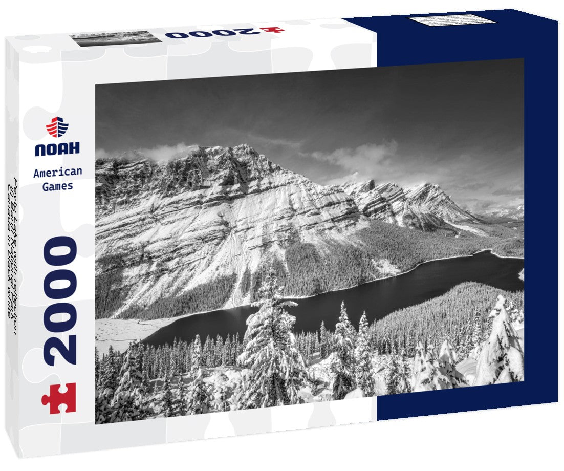 Noah Jigsaw Puzzle Peyto Lake with reflection in Banff National Park, Canada in black white 2000 pieces