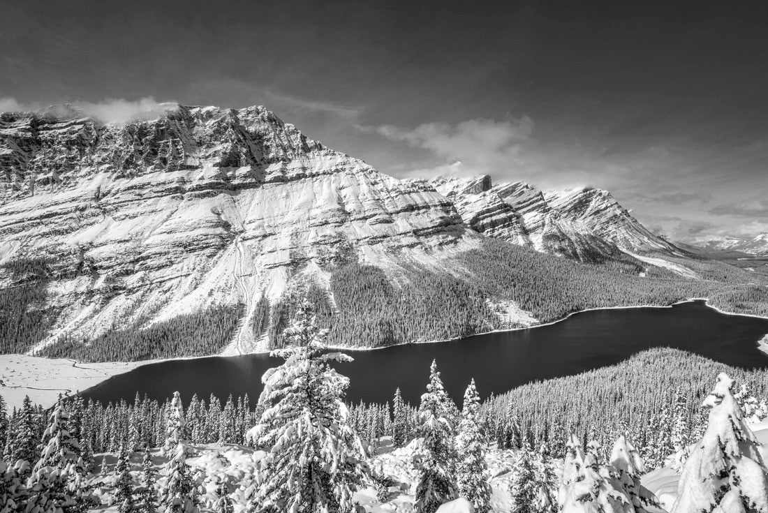 Noah Jigsaw Puzzle Peyto Lake with reflection in Banff National Park, Canada in black white 2000 pieces