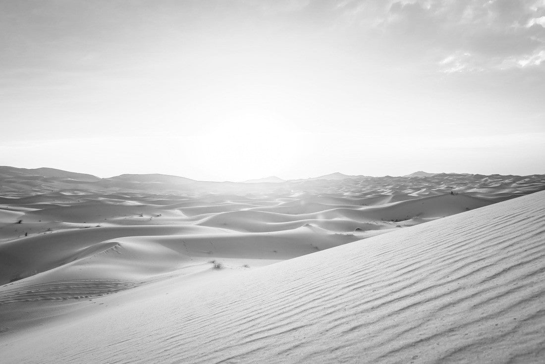 Noah Jigsaw Puzzle sunrise sahara desert dunes morocco merzouga in black white 2000 pieces